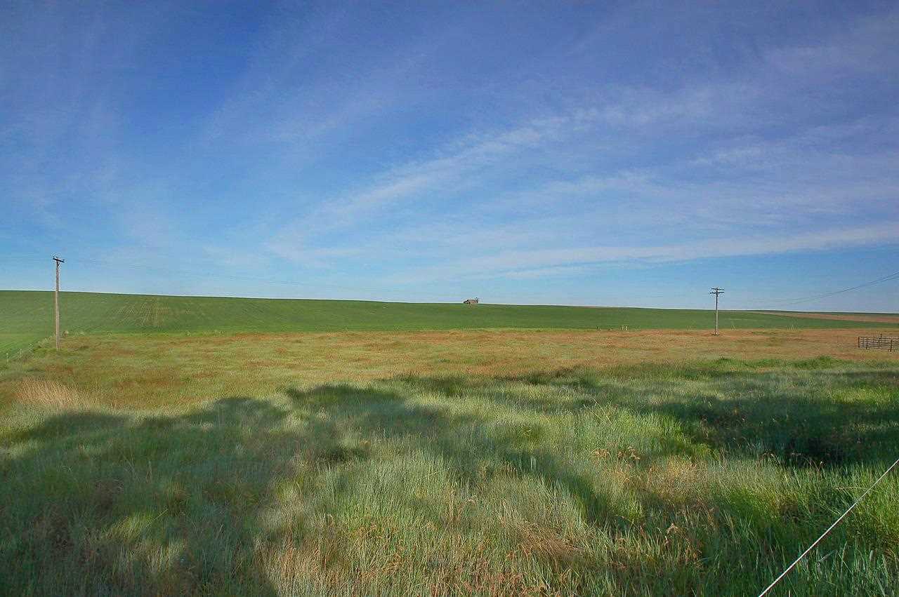25862 Buck Flats Rd - Photo 17