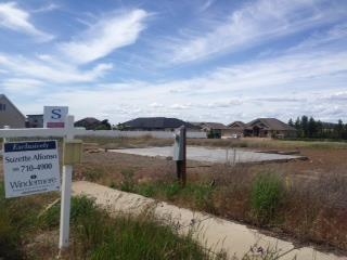 3910 W Dawn - Photo 4