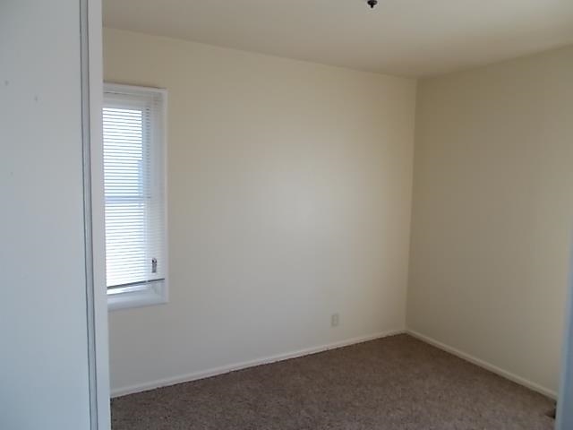 5717 N Elm St - Photo 7