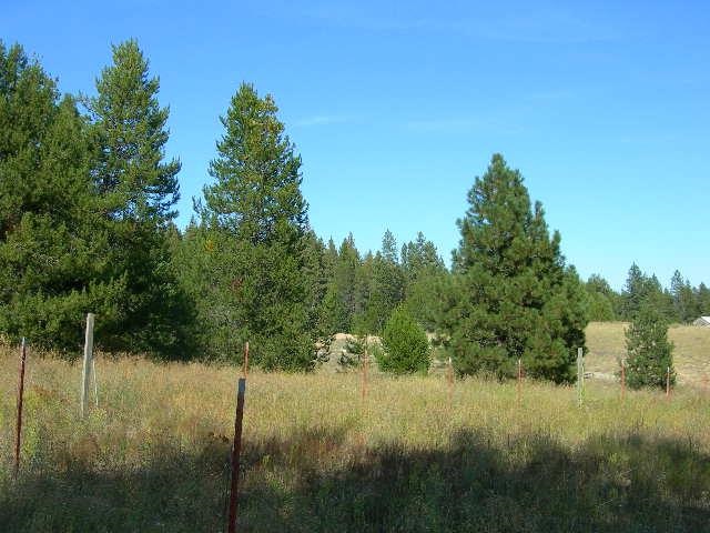 6082 Spring Valley - Photo 5