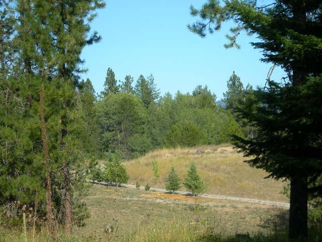 6082 Spring Valley - Photo 6