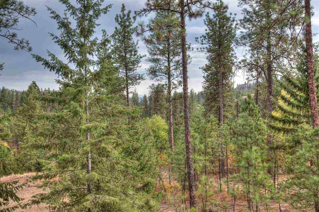 8907 S Deer Creek Ranch - Photo 20