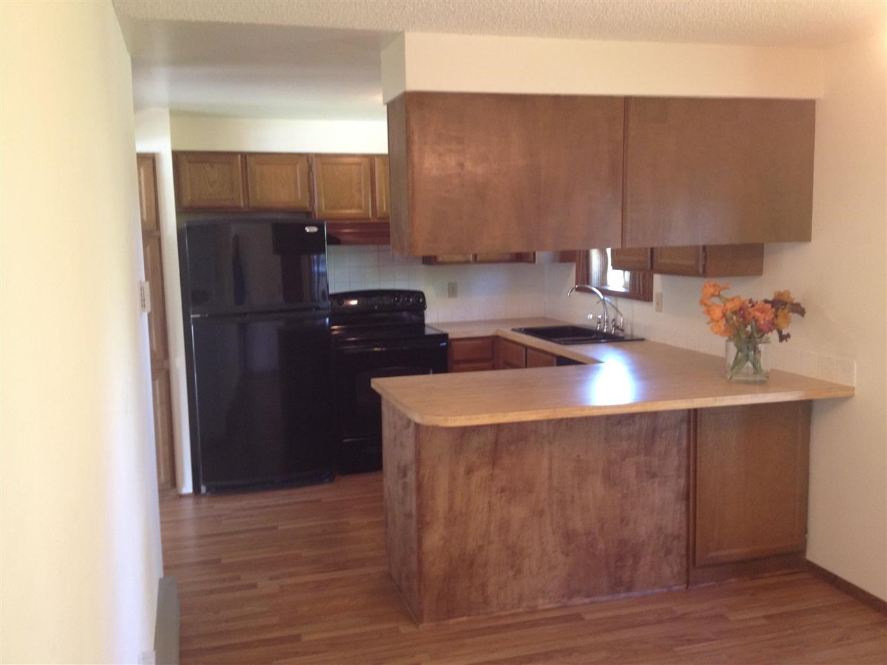 4705 N Billy Jack - Photo 8
