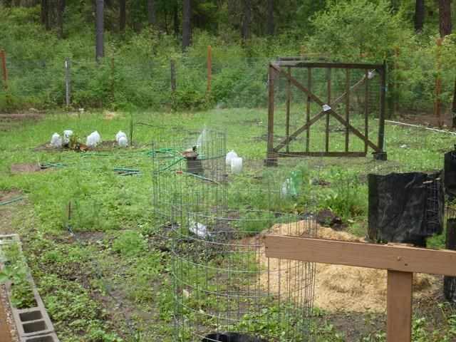 5175 W Glen Grove Staley Rd - Photo 9