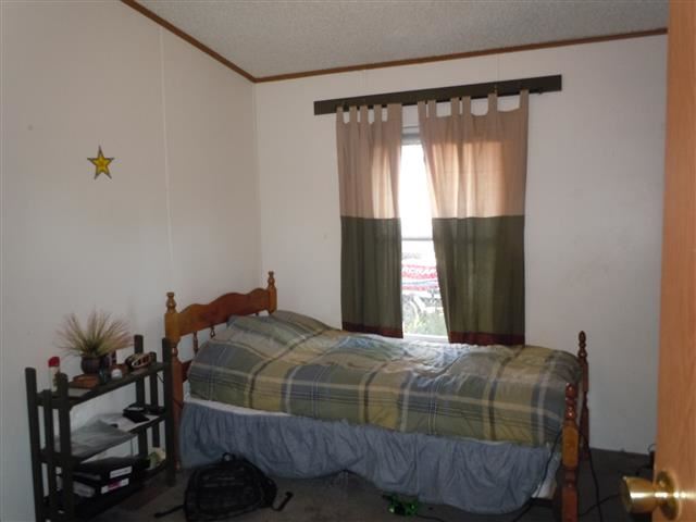 4303 N ELLEN Rd - Photo 10
