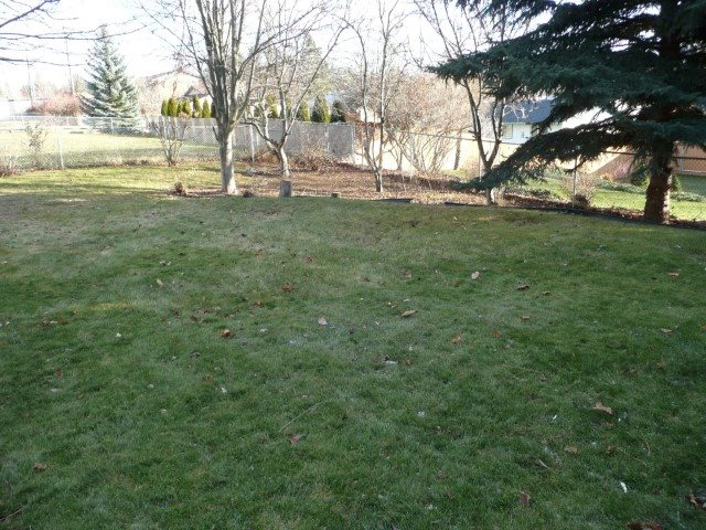 13112 E 28th Ave - Photo 5