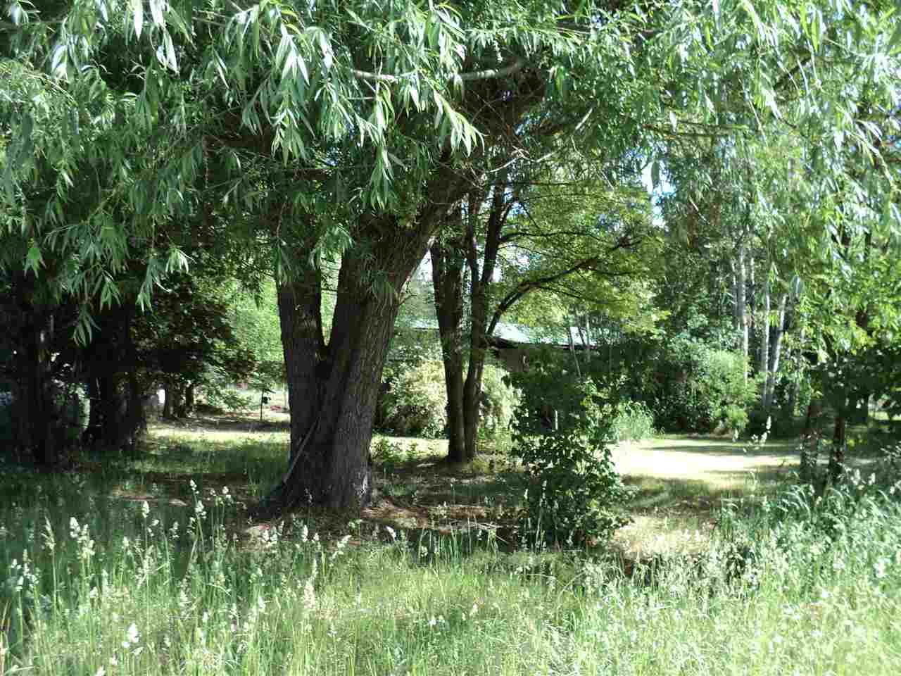 1118 W PINEBLUFF Rd - Photo 20