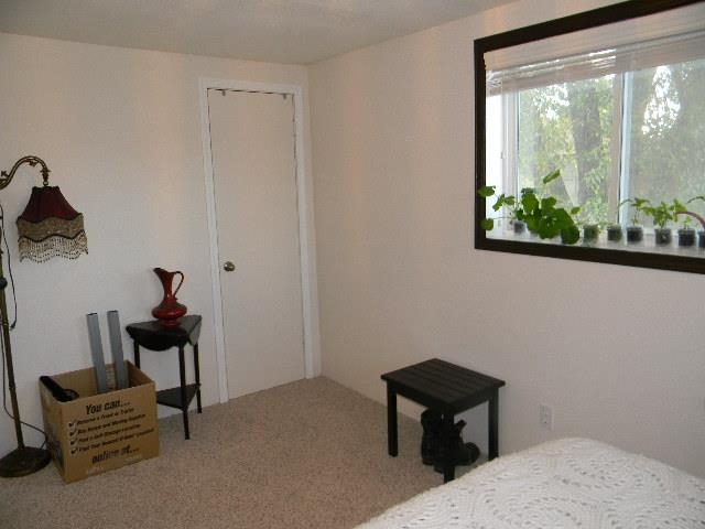 7424 N Smith St - Photo 8