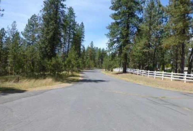 16414 N Saddle Hill Rd - Photo 4