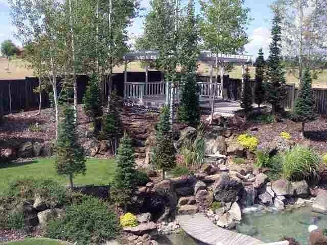 24907 N Perry Rd - Photo 16