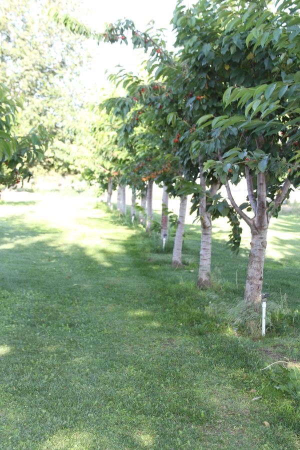 5268 RD 4 NE - Photo 11