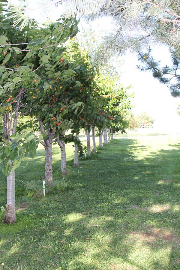 5268 RD 4 NE - Photo 10