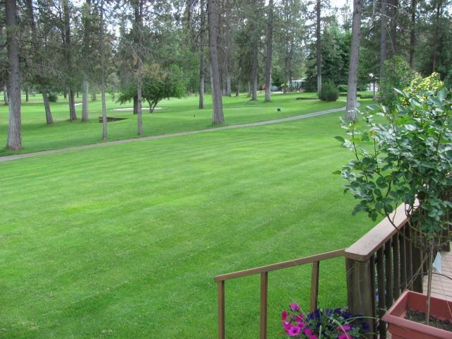 225 Eagle Dr - Photo 18