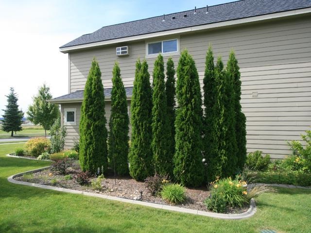 1600 N Holl Blvd - Photo 17