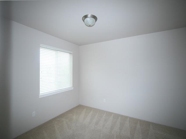 1600 N Holl Blvd - Photo 10
