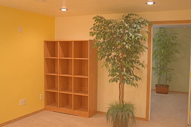 5903 N Lindeke St - Photo 9