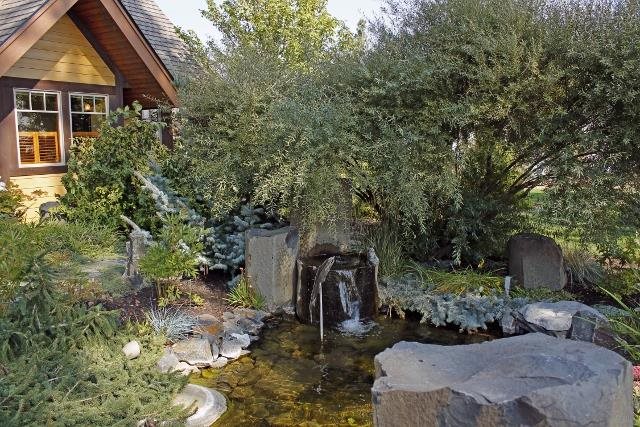 14109 S ROSA BUTTE Lane - Photo 12