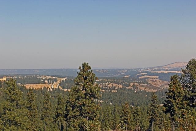 14109 S ROSA BUTTE Lane - Photo 17