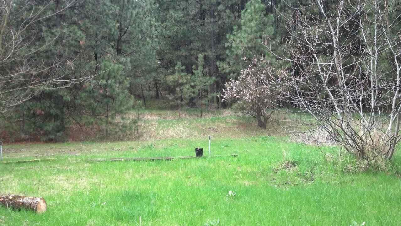8229 S Regal Rd - Photo 4
