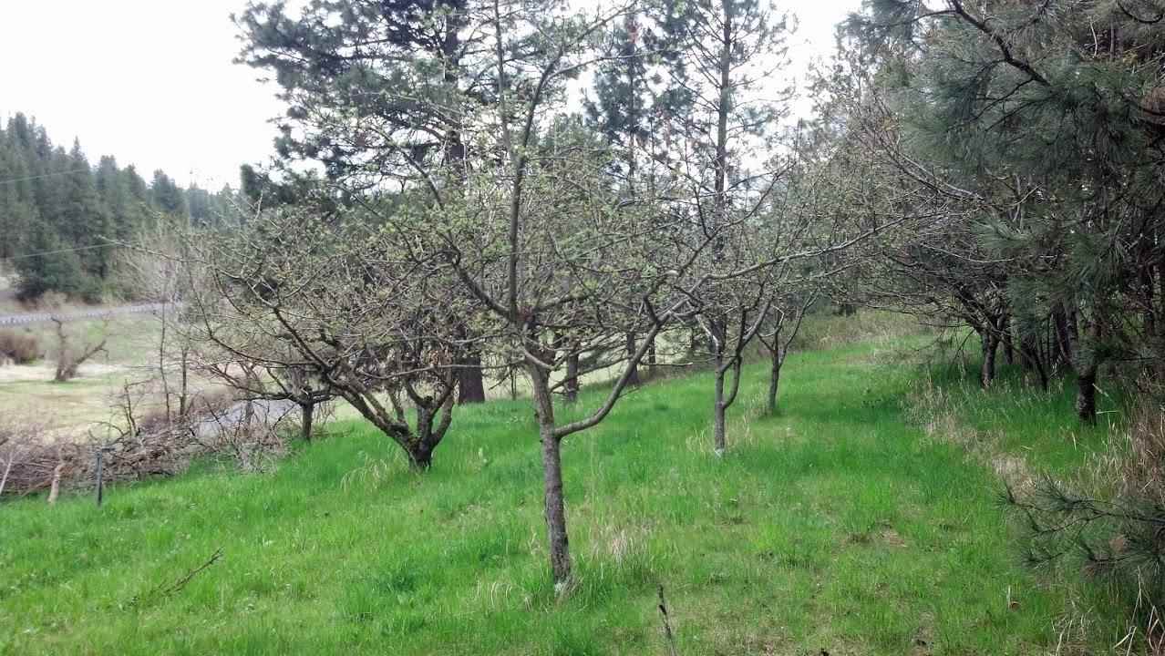 8229 S Regal Rd - Photo 5