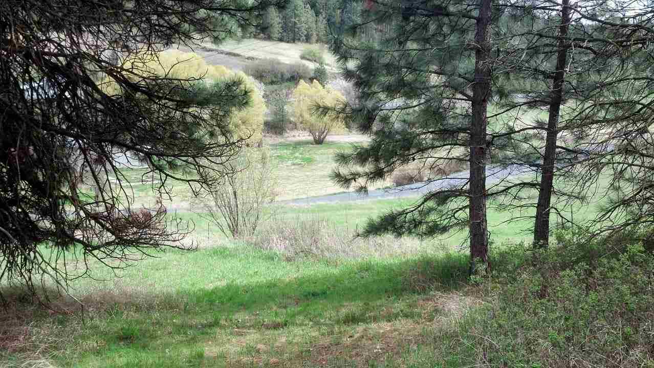 8229 S Regal Rd - Photo 6