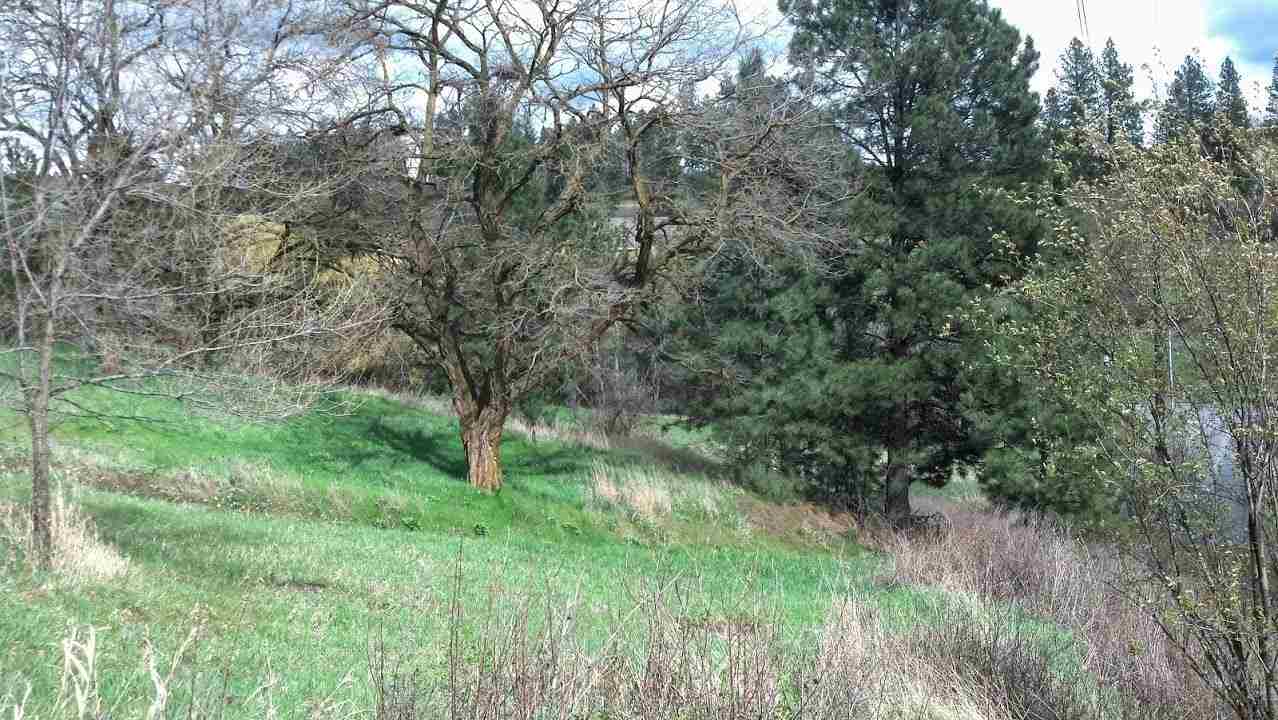 8229 S Regal Rd - Photo 7