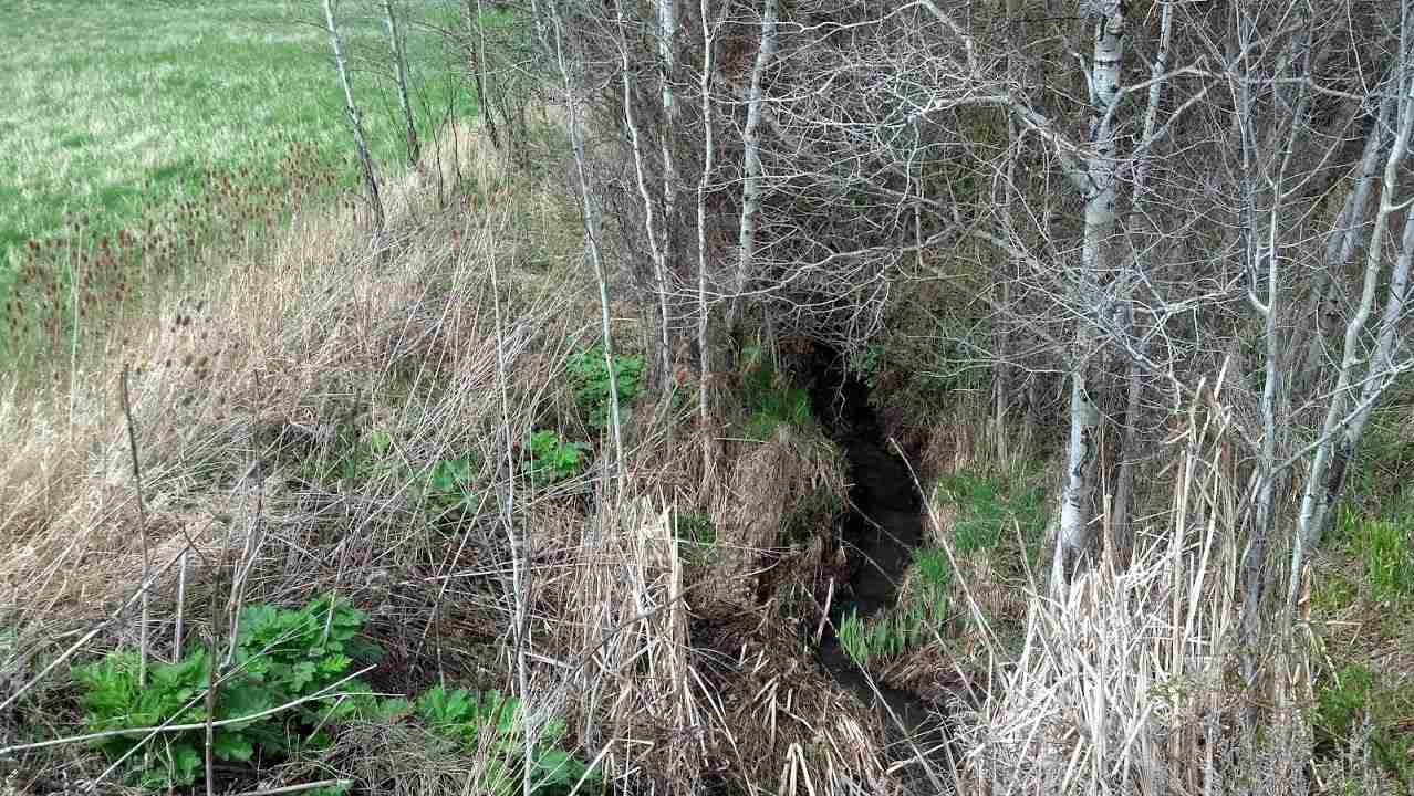 8229 S Regal Rd - Photo 8