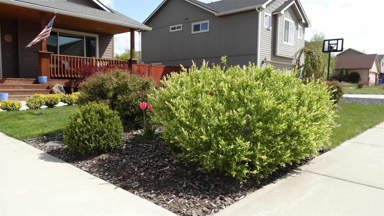 3806 W Jay Ave - Photo 3