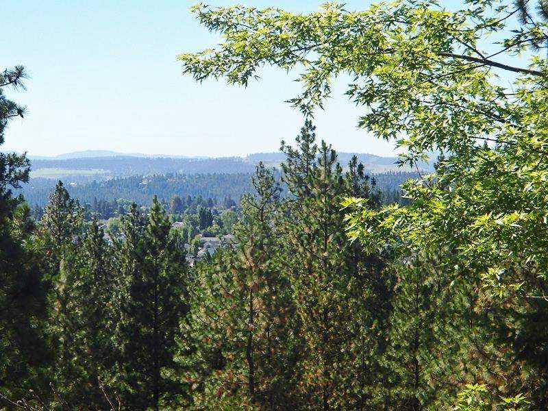18727 N Division Rd - Photo 6
