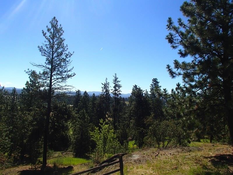18727 N Division Rd - Photo 8