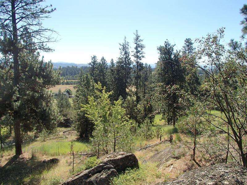 18727 N Division Rd - Photo 9