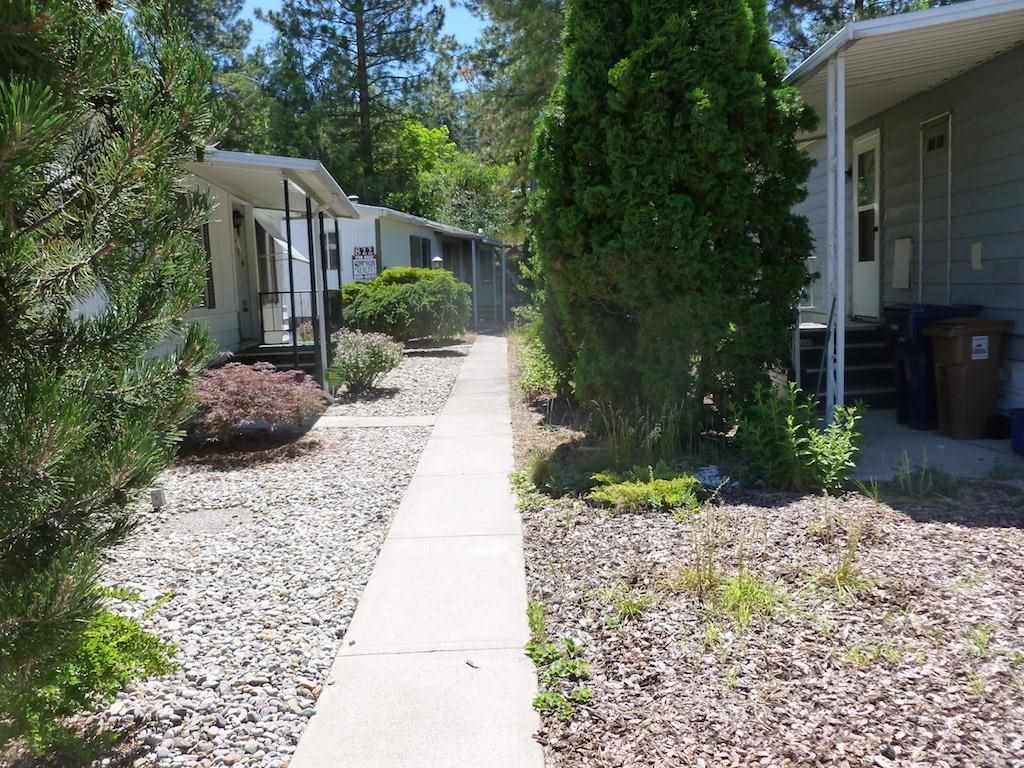 3231 W Boone Ave - Photo 3