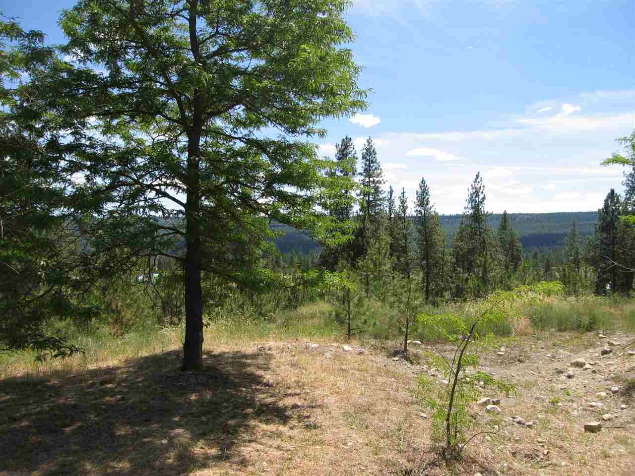 7673 Loralee Way - Photo 5
