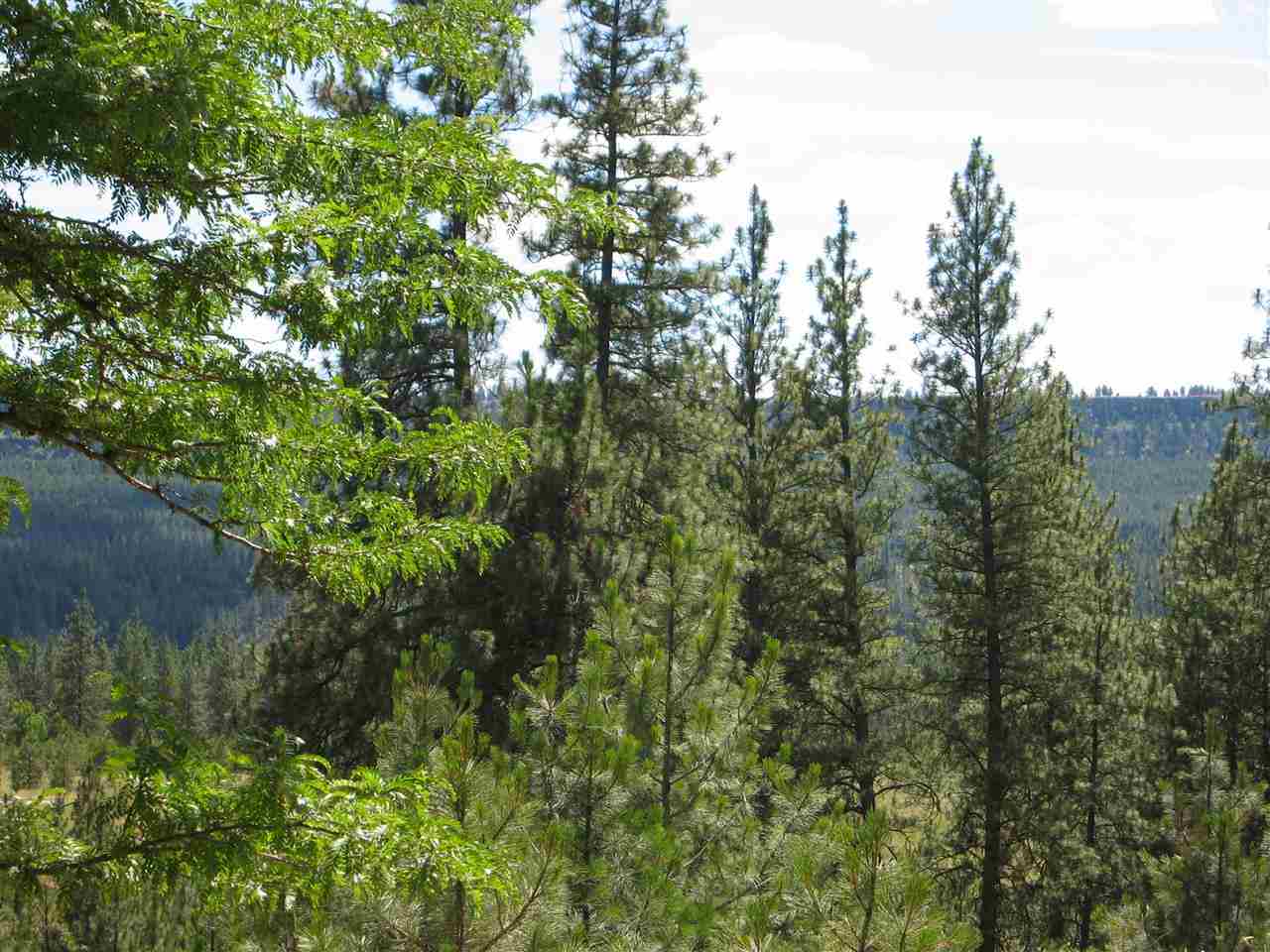 7673 Loralee Way - Photo 6