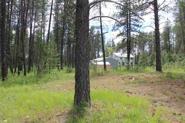 4050 Lyon and Moss Rd - Photo 19