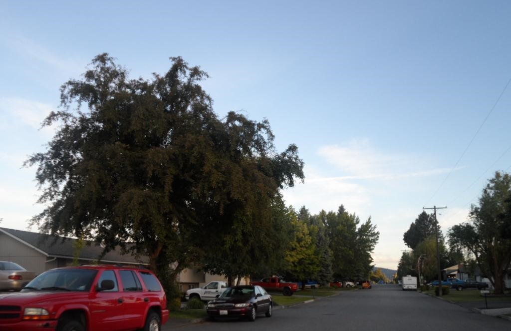 1410 N Best Rd - Photo 3
