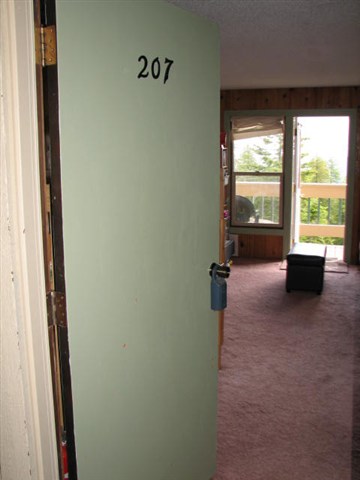 207 Snowbird Mt Spokane Condos - Photo 3