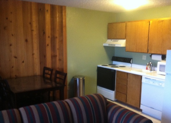 207 Snowbird Mt Spokane Condos - Photo 7
