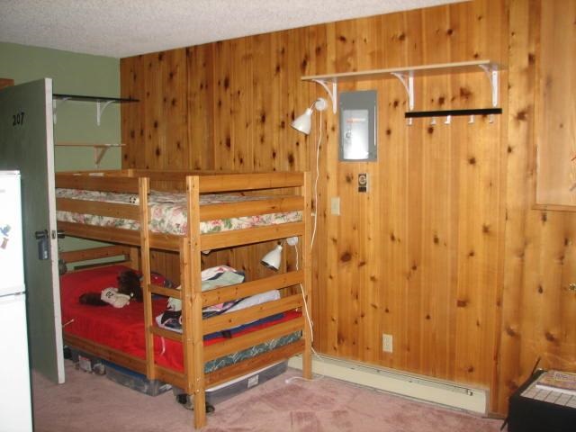 207 Snowbird Mt Spokane Condos - Photo 10
