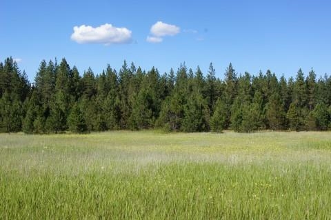 4579 Reservation Rd - Photo 13