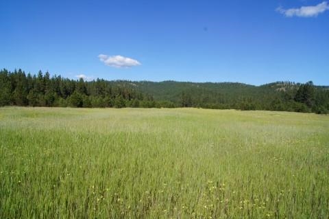 4579 Reservation Rd - Photo 14