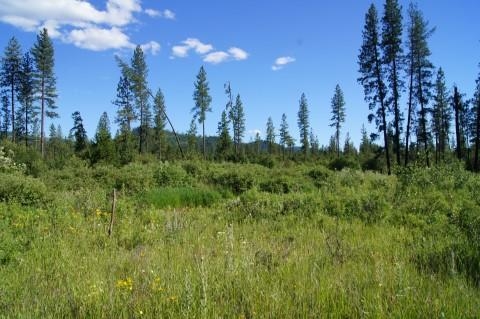 4579 Reservation Rd - Photo 15