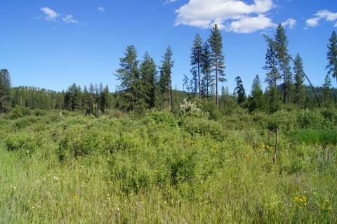 4579 Reservation Rd - Photo 16