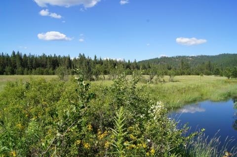 4579 Reservation Rd - Photo 17