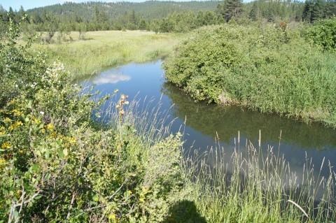 4579 Reservation Rd - Photo 18