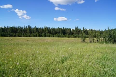 4579 Reservation Rd - Photo 19