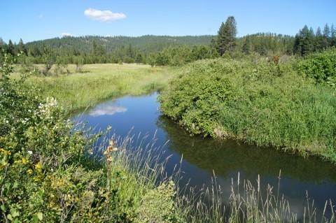 4579 Reservation Rd - Photo 3