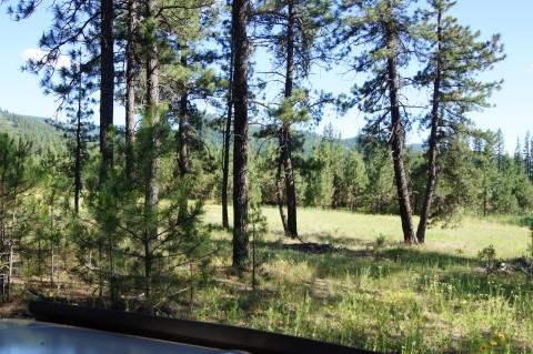 4579 Reservation Rd - Photo 4