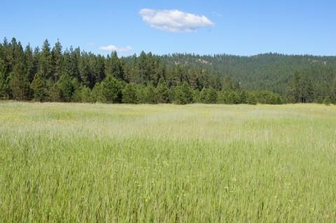 4579 Reservation Rd - Photo 5