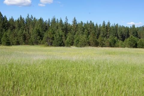 4579 Reservation Rd - Photo 6
